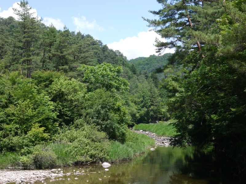 P1000767.JPG