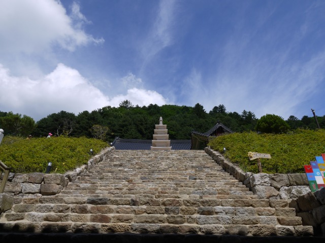 P1000745.JPG