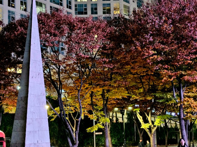 20241109_194849.jpg