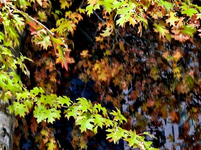 20241109_195510.jpg