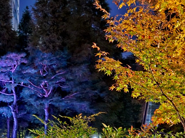 20241109_200237.jpg