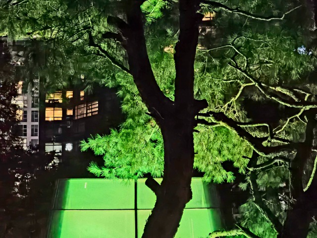 20241109_201327.jpg