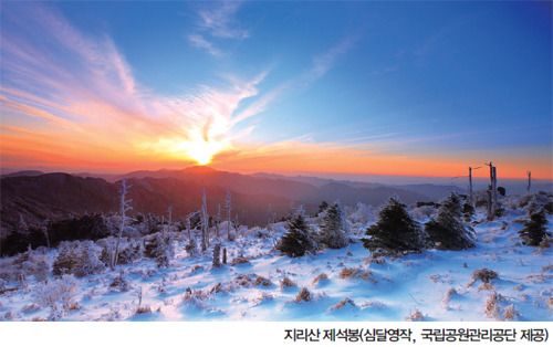 뼳-2.jpg