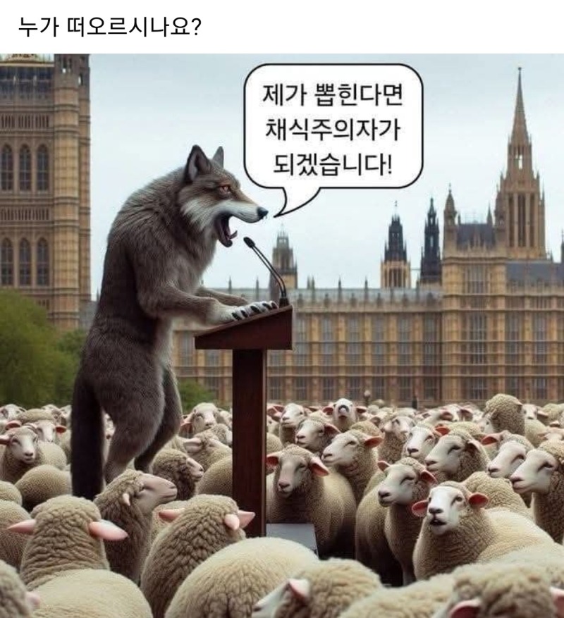 .jpg