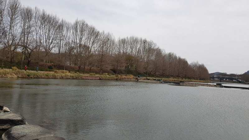 20250328_111714.jpg