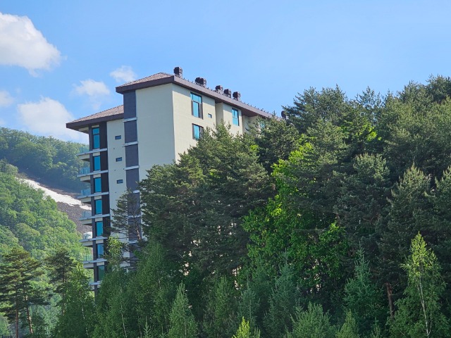 20250518_160244.jpg