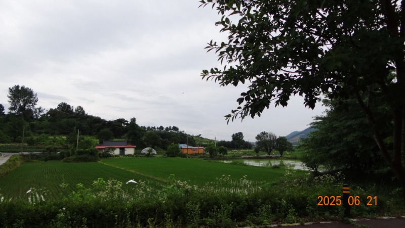 [�ٹ̱�]DSC06200.JPG