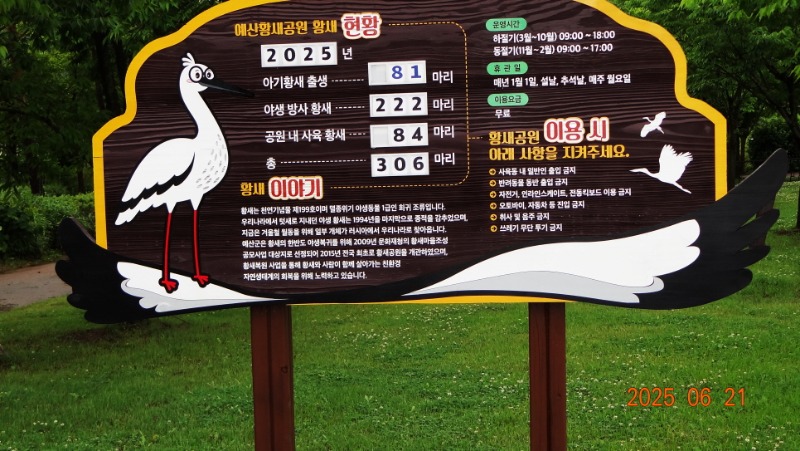 [�ٹ̱�]DSC06206.JPG