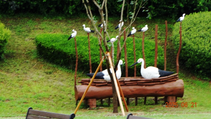 [�ٹ̱�]DSC06208.JPG