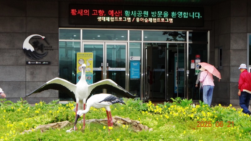 [�ٹ̱�]DSC06211.JPG