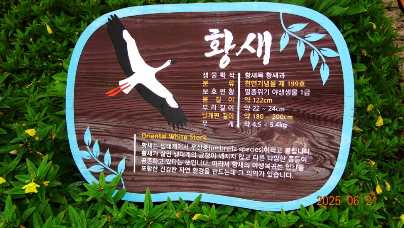 [�ٹ̱�]DSC06212.JPG
