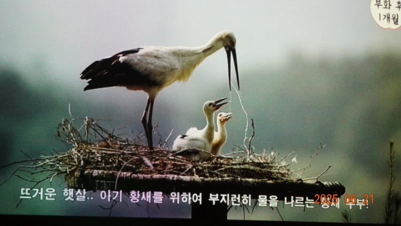 [�ٹ̱�]DSC06217.JPG
