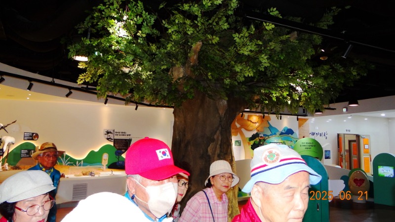 [�ٹ̱�]DSC06221.JPG