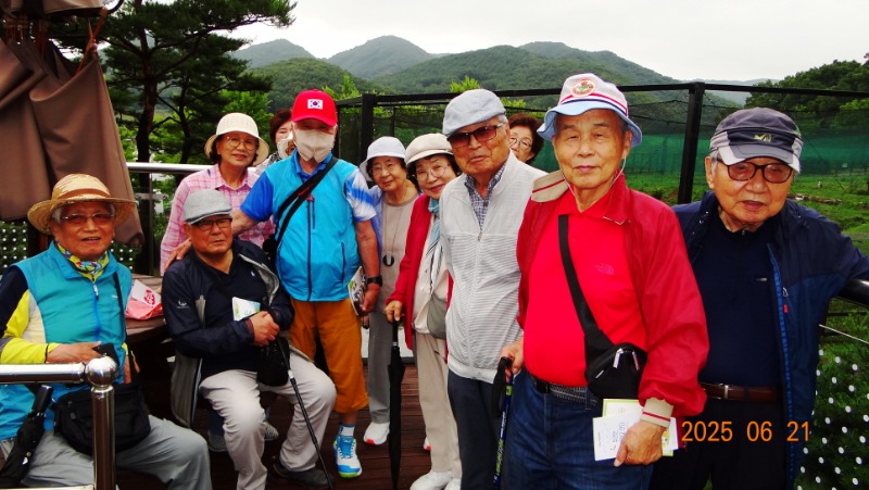 [�ٹ̱�]DSC06225.JPG