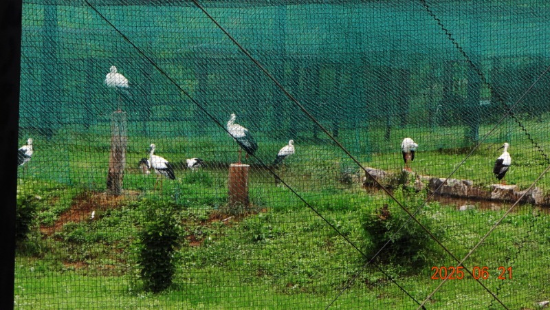 [�ٹ̱�]DSC06224.JPG