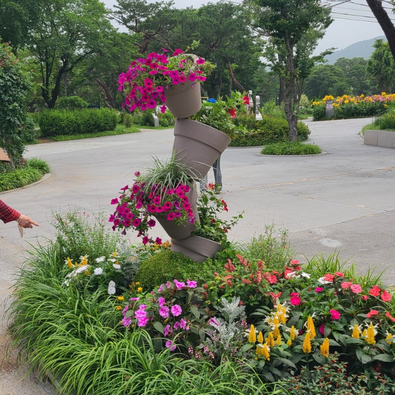 [�ٹ̱�]127.jpg