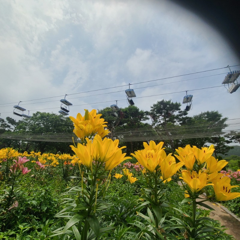 [�ٹ̱�]136.jpg