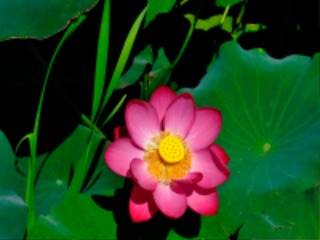 16 - ���纻 (9).jpg