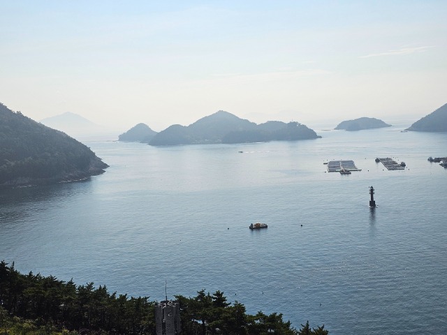 20250819_091818.jpg