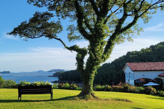 �ѿ� ��������-2.jpg