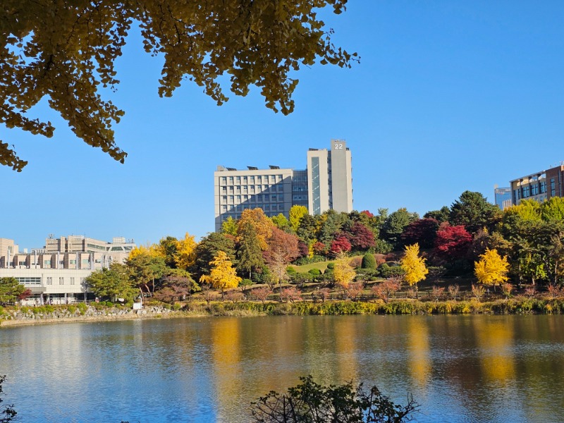 20251110_150002 (1).jpg