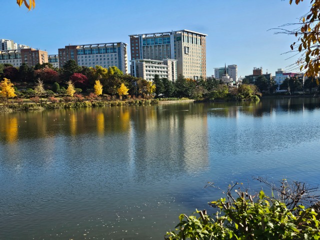 20251110_151026 (1).jpg