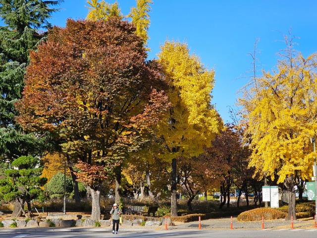 20251110_151159 (1).jpg