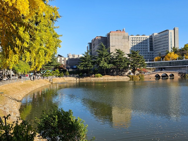 20251110_151310 (1).jpg