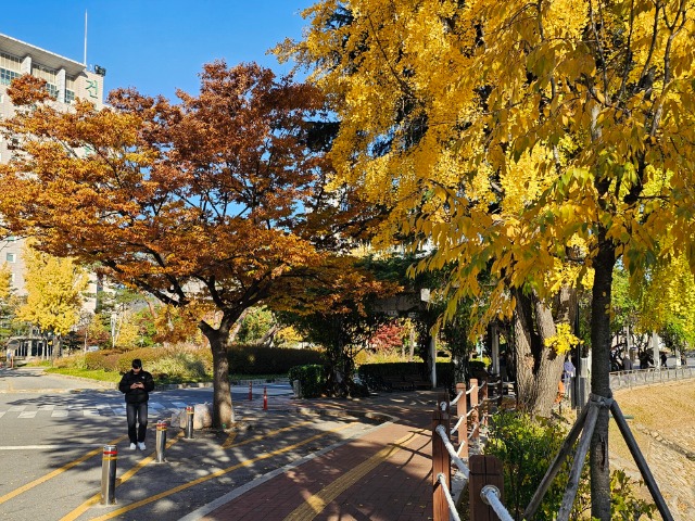 20251110_151258 (1).jpg