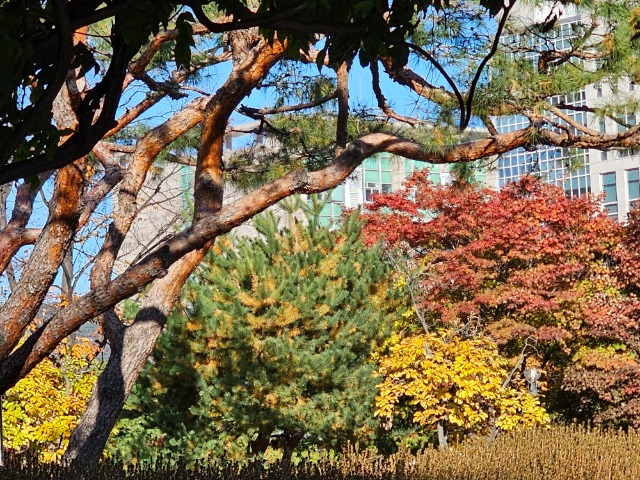 20251110_151433 (1).jpg