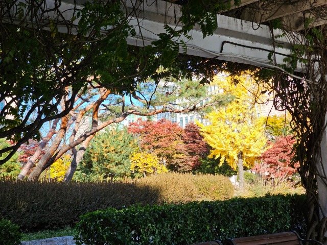 20251110_151424 (1).jpg