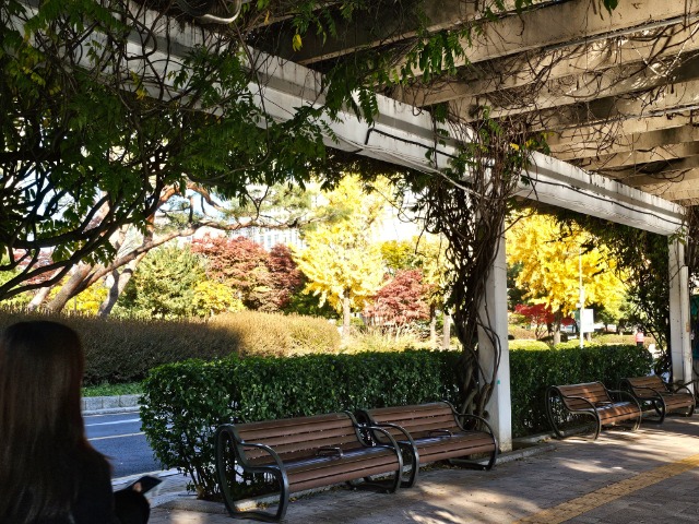 20251110_151457 (1).jpg