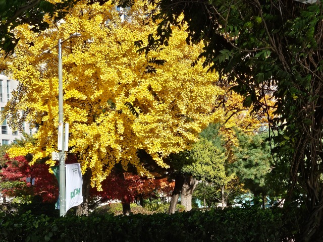 20251110_151715 (1).jpg