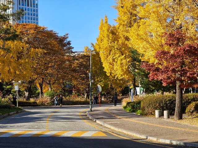 20251110_151954 (1).jpg