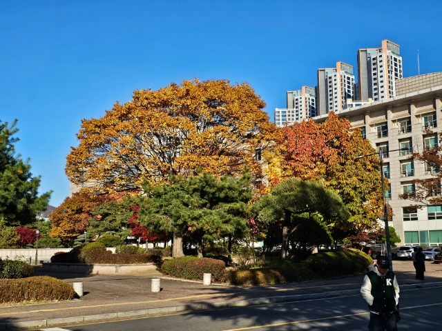 20251110_151904 (1).jpg