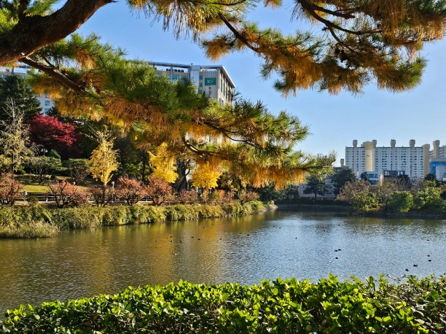 20251110_152425 (1).jpg