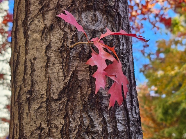 20251110_143435 (1).jpg