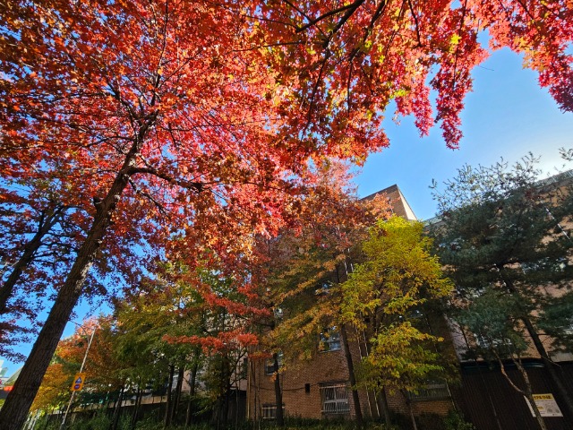 20251110_143355 (1).jpg