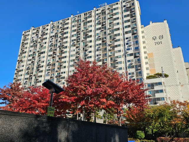 20251110_143622 (1).jpg