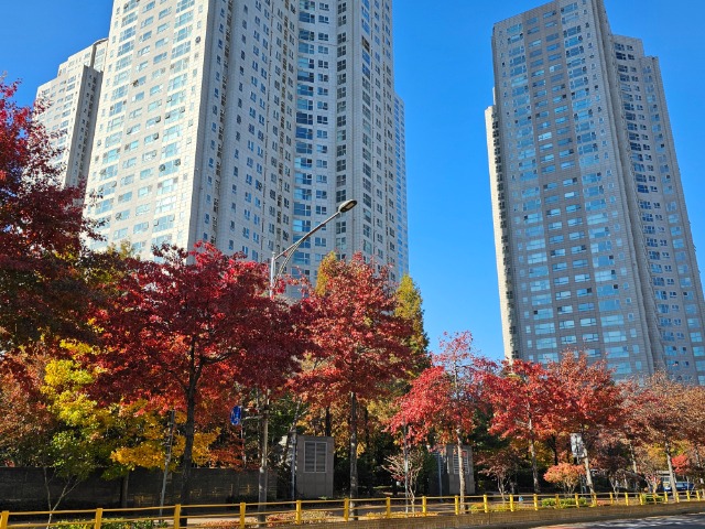 20251110_143857 (1).jpg