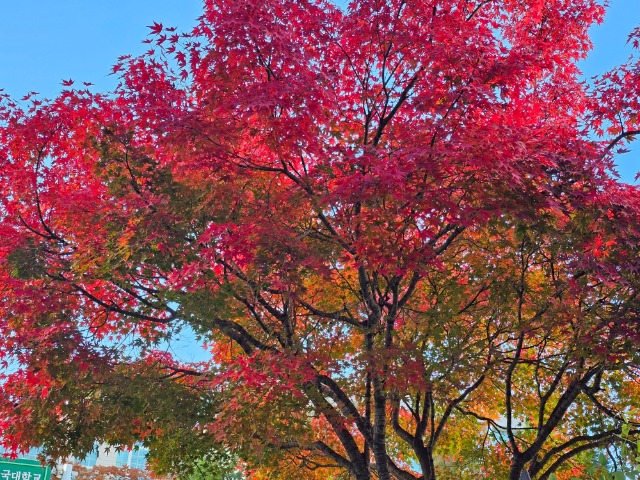 20251110_145118 (1).jpg