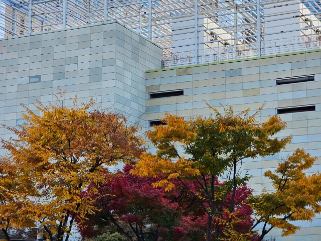 20251110_144659 (1).jpg