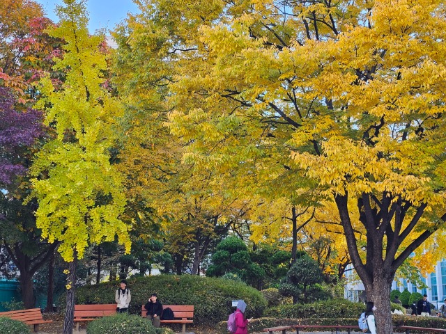 20251110_145357 (1).jpg