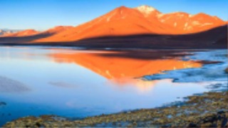 ������� �󱸳� �ݷζ�.jpg