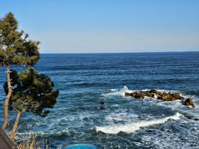 20260125_150257 (1).jpg