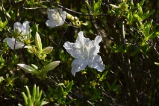 �Ѱ����� (61).JPG