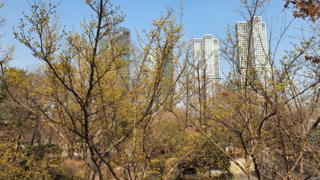 2021.3���� ���� (28).jpg