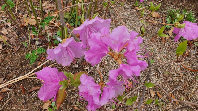 20210329_163240 - ���纻.jpg