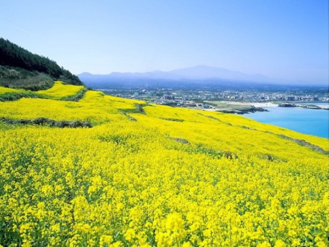 2021.3���� ���� (1).jpg