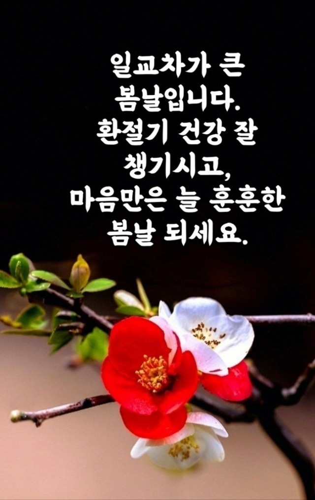 1774310803466 (2).jpg